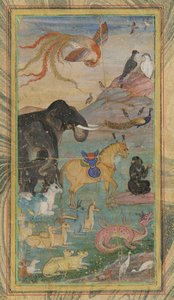 Djur och fåglar, 1600-talet. av Unbekannt