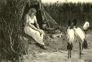 Anysis gömd i deltats träsk, 1890. av Unbekannt
