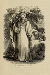 Arch-Druid i sin fullständiga rättsliga kostym Från boken Old England: A Pictorial Museum, 1845 av Unbekannt