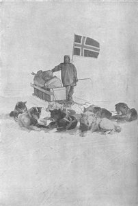 På Sydpolen, 1911, 1928 av Unbekannt