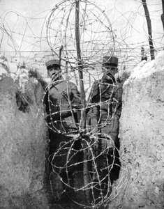 Taggtråd som omger ett franskt skyttegrav, första världskriget, 1915 av Unbekannt