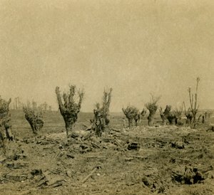 Battlefield, Maurepas, norra Frankrike, c1914-c1918 av Unbekannt