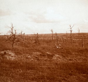 Battlefield, Tahure, norra Frankrike, c1914-c1918 av Unbekannt