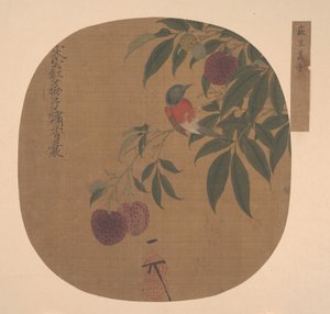 Fågel på en litchi-gren. av Unbekannt