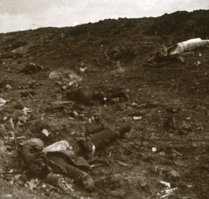 Kropp, Somme, norra Frankrike, c1916-c1918 av Unbekannt