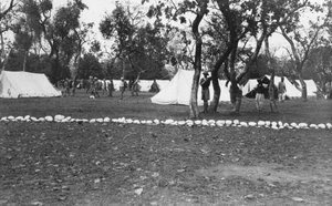 Brittisk arméläger vid Yamunafloden, Indien, 1917 av Unbekannt