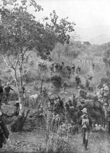 Brittiska trupper i bushen vid gränserna till tyska Östafrika, första världskriget, 1915 av Unbekannt