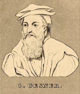 C. Gesner, 1516-1565, 1830 av Unbekannt