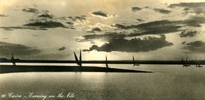 Kairo - Afton på Nilen, c1918-c1939. av Unbekannt