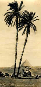 Kairo - Pyramiderna i Girzeh, c1918-c1939. av Unbekannt