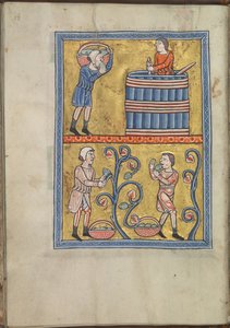 Kalender, september, män som plockar och trampar druvor - Psalter av Eleanor av Aquitaine (ca. 1185) - KB 76 F 13, folium 009v av Unbekannt