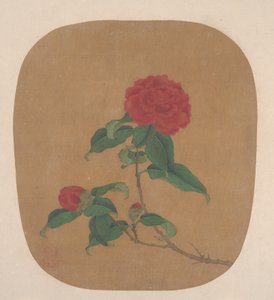Camellia blommor. av Unbekannt