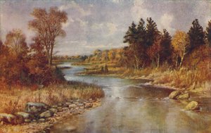 Canadian Forest Scene, 1924 av Unbekannt