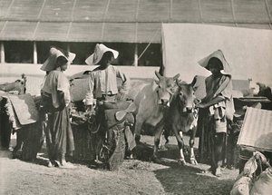 Karavanscen med Shans i Bhamo, 1900. av Unbekannt
