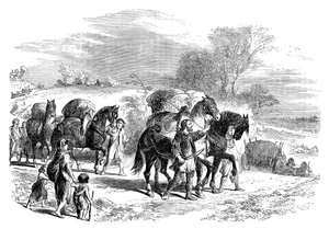 Bär bröd till London på packhästar, c1895 av Unbekannt