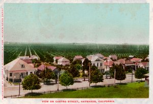 Castro Street, Hayward, Kalifornien, 1905 av Unbekannt