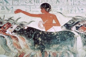 Boskap för inspektion: väggmålning från Nebamuns grav nr 5, Egypten, c1350 f.Kr. av Unbekannt