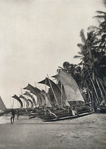 Ceylonesiska utriggar havsfiskebåtar, 1926 av Unbekannt