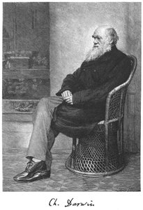 Charles Darwin, engelsk naturforskare, 1883 av Unbekannt