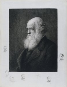 Charles Darwin, engelsk naturforskare, ca 1860-talet av Unbekannt