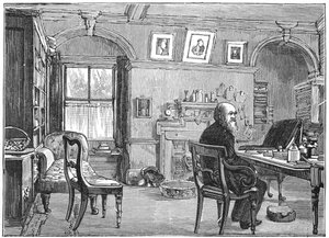 Charles Darwin, engelsk naturforskare, i sin studie, c1870 1887 av Unbekannt