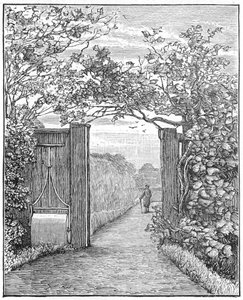 Charles Darwin i sanden promenad på Down House, c1870 1887 av Unbekannt