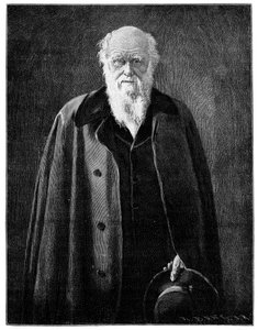 Charles Darwin, berömd naturforskare och tänkare, 1900 av Unbekannt