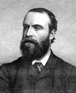 Charles Stuart Parnell, irländsk politiker från 1800-talet, c1874-1891 av Unbekannt