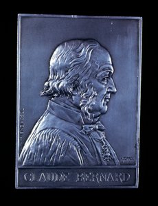 Claude Bernard, fransk fysiolog från 1800-talet, 1913 av Unbekannt