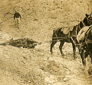 Rensa slagfältet, c1914-c1918 av Unbekannt