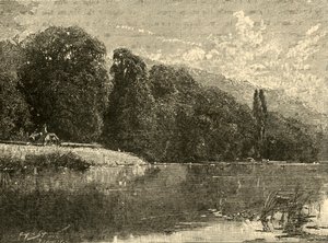 Cliefden Woods, 1898. av Unbekannt
