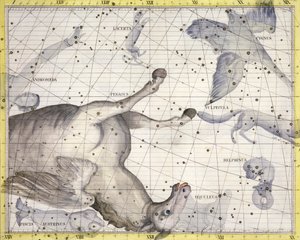 Stjärnbilden Pegasus, 1729 av Unbekannt