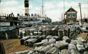 Cotton Wharves, New Orleans, Louisiana, USA, tidigt 1900-tal av Unbekannt