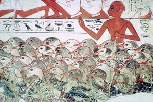 Räkna gässen: fragment av väggmålning från Nebamuns grav, Thebe, Egypten, c1350 f.Kr. av Unbekannt