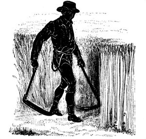 Växelbruk: skörda med en Hainault Scythe, 1855 av Unbekannt