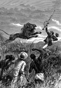 David Livingstone, skotsk missionär och afrikansk upptäcktsresande, anklagas av ett lejon, c1860 av Unbekannt