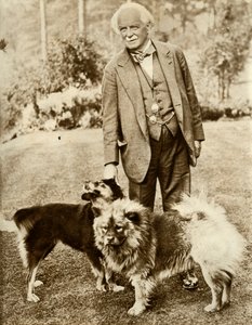 David Lloyd George, 1935. av Unbekannt