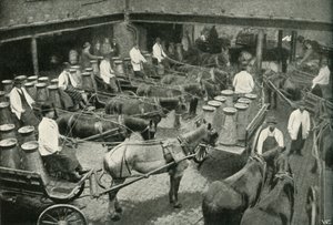 Leveransbilar med start från Mrs, Freeth och Pococks Central Depot i Vauxhall, 1902. av Unbekannt
