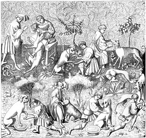 Hundars sjukdomar och deras botemedel, 1300-talet 1849 av Unbekannt