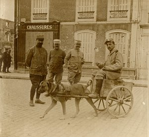 Hundkärra, Frankrike, c1914-c1918 av Unbekannt