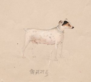 Hund, 1800-tal. av Unbekannt