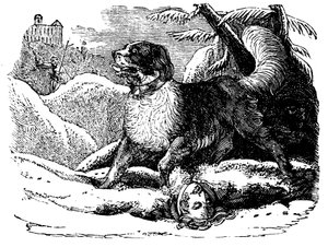 Hund från Hospice of St Bernard hittar en resenär i snön, c1840 av Unbekannt