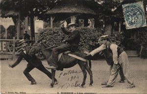 Donkey Tetu and Recalcitrant - Vykort daterat 1904 av Unbekannt
