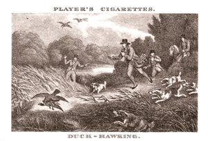 Duck-Hawking, 1924. av Unbekannt