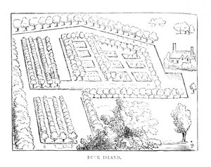Duck Island, c1870 av Unbekannt