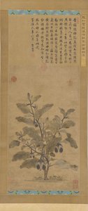Aubergine, Mingdynastin, 1368-1644. av Unbekannt