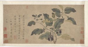 Aubergine, Yuan eller Ming dynastin, 1300-talet. av Unbekannt