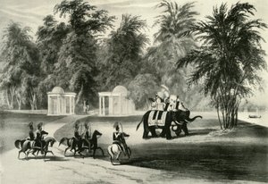 Elefanter och kroppsvakt i Barrackpore Park, 1820, 1925. av Unbekannt