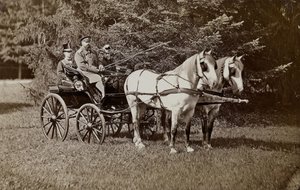 Kejsar Alexander III 1845-1894 och kejsarinnan Maria Fyodorovna 1847-1928 på en hästvagn. av Unbekannt