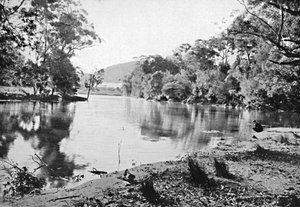 Evening Shadows, National Park, c1900. av Unbekannt